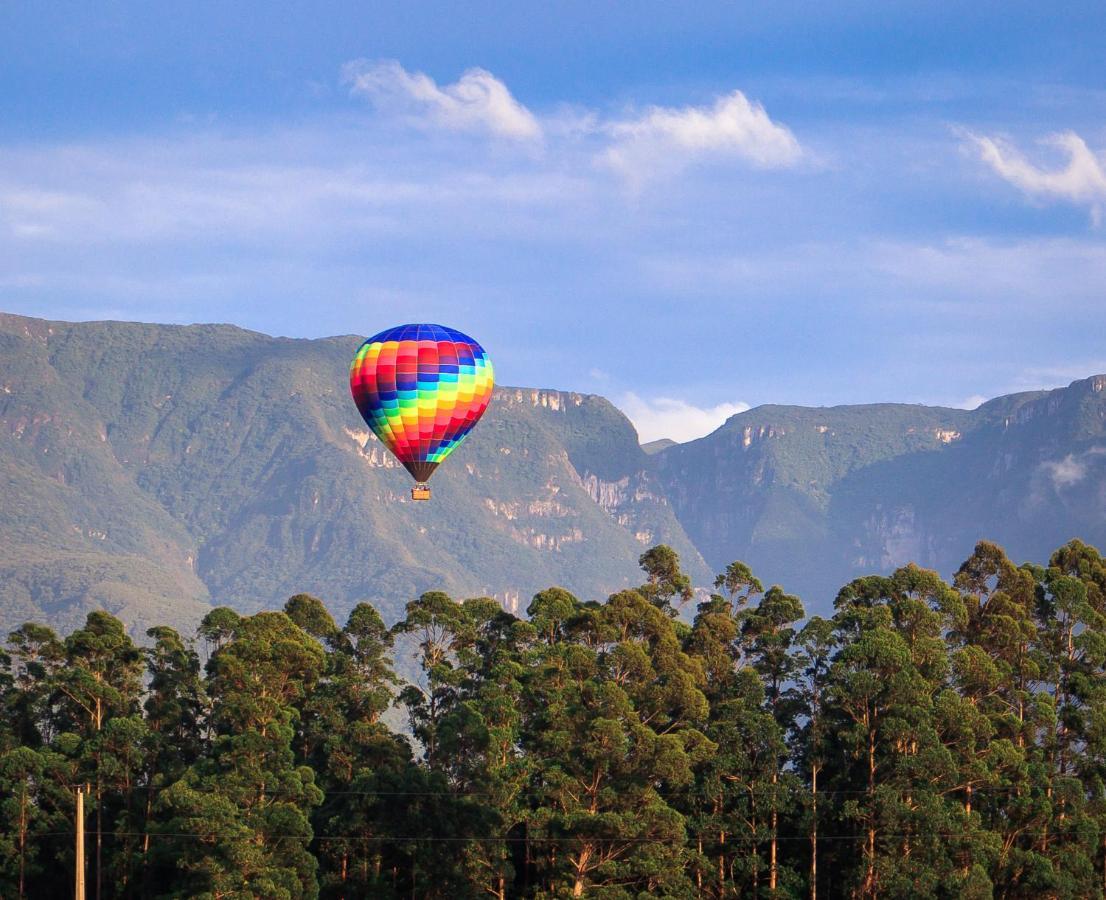 Alojamento de Turismo Selvagem Vale Do Rio Do Boi *