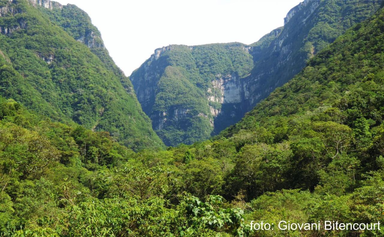 Alojamento de Turismo Selvagem Vale Do Rio Do Boi